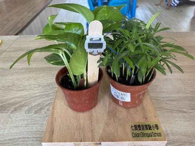 「植物电池」供应能源给小时钟使用，因为使用的是可再生的绿色能源设备，不需担心地球资源短缺的问题。（高市教育局提供／袁庭尧高雄传真）