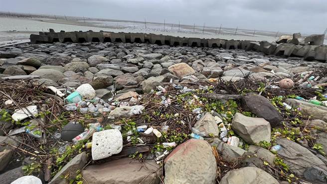 彰化县政府16日在「招潮蟹及水鸟故乡」的伸港溼地举办净滩和海洋环境教育宣导，志工冒着风雨，捡拾800公斤垃圾。（吴敏菁摄）