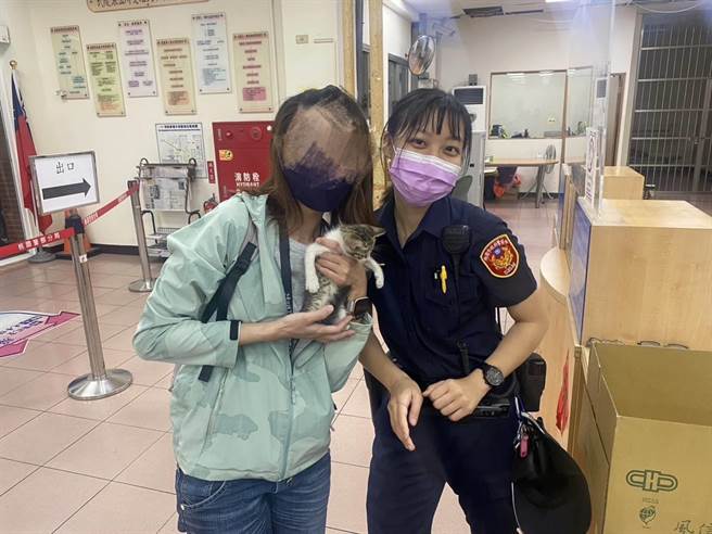 桃園警分局武陵派出所員警日前處理車禍時，熱心的林姓女子發現浪貓，最後發現貓咪無主，由林女領養。(警方提供)