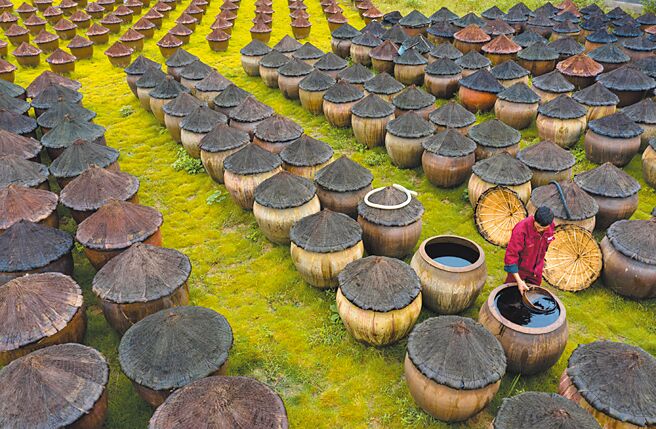 舌尖上的风波图╱新华社