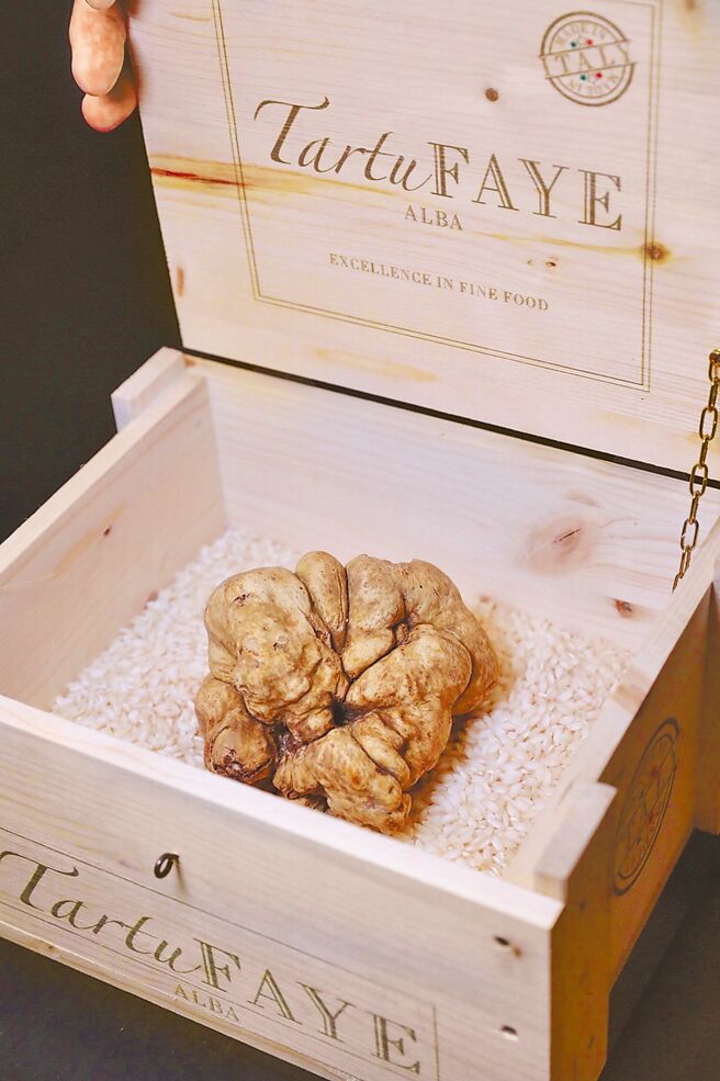 白松露已经是三二行馆行之多年的经典奢华食材。（三二行馆提供）