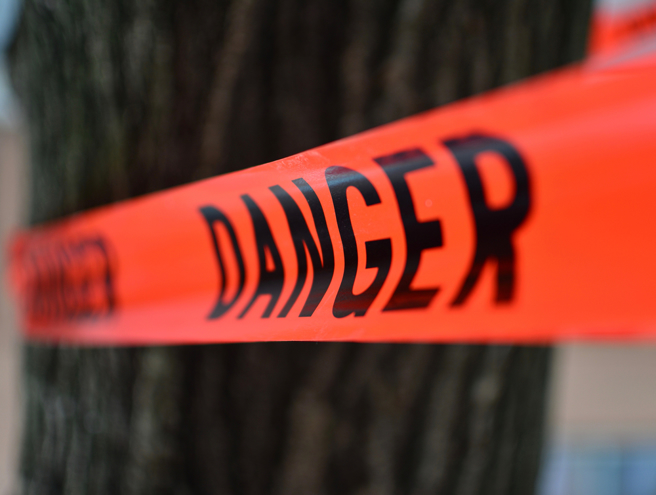 生肖鼠、生肖羊、生肖狗、生肖猪天生的第六感特别灵敏，总能避开很多触霉头、不幸的麻烦。（示意图／Shutterstock）