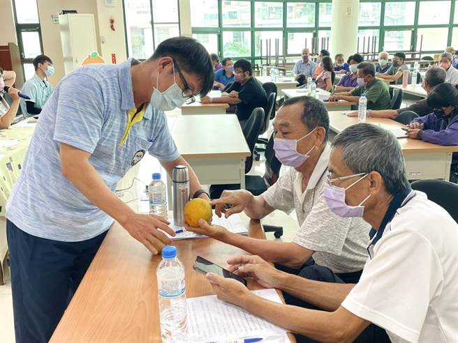 嘉大林明莹主任(左)向果树产销班吴瑞权班长(中)解说柑橘果实发生的病虫害。（嘉义大学提供／廖素慧嘉市传真）