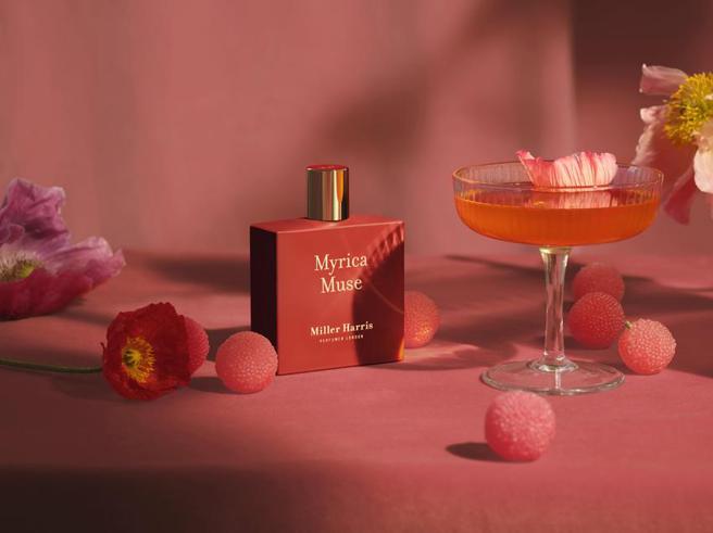 （台北晶华携手Miller Harris推出「有味道的住房优惠专案」。图／台北晶华酒店提供）