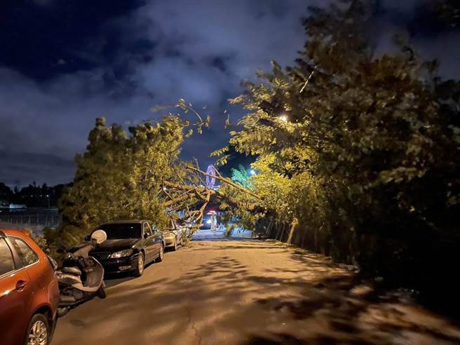 后里區月湖東路一處路旁大樹倒塌，橫倒道路上造成交通中斷，警方暫時封閉該路段。(警方提供)