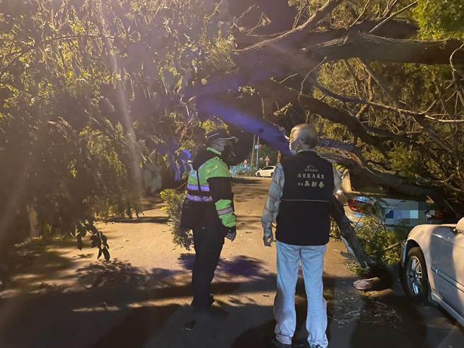 后里區月湖東路一處路旁大樹倒塌，橫倒道路上造成交通中斷，警方暫時封閉該路段。(警方提供)