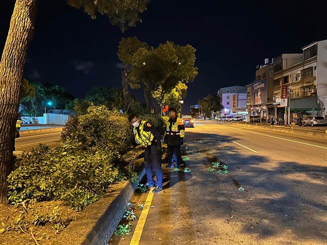 受尼莎颱风影响，台中乌日、龙井区17日晚间接连传出4起路树遭强风吹倒案件，警方立即到场实施交通管制，并协助通报相关单位移除。（乌日警分局提供／潘虹恩台中传真）