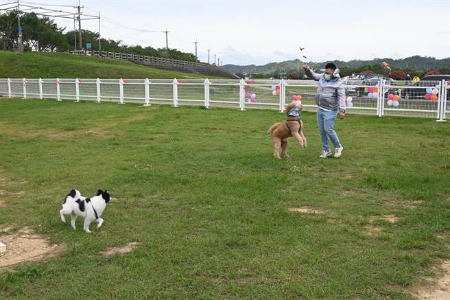 占地300坪的宠物公园，可让毛小孩尽情玩耍。（李京升摄）