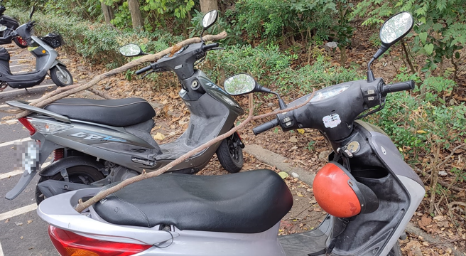 他拍下机车坐垫摆放「破百公分树枝」，并称只有高雄人才懂。（翻摄自脸书路上观察学院）