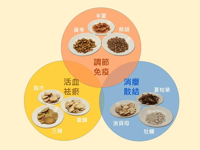 调节免疫、活血祛瘀、消瘿散结药材示意图。（台中慈济医院提供／陈淑娥台中传真）