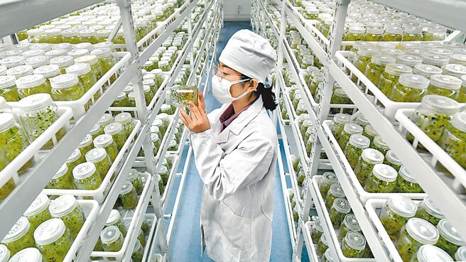 中国大陆力推「第五个现代化」，除持续优化经济结构，更强化持续创新、培养人才，并朝改善污染，绿色发展前进。图／新华社