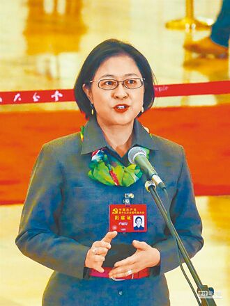 盧麗安：愛大陸與愛台灣不衝突