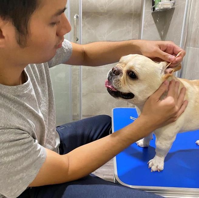 体验设计展宠物用品新感受  高市青年局办「毛孩秋日野餐趣」(品观点提供)