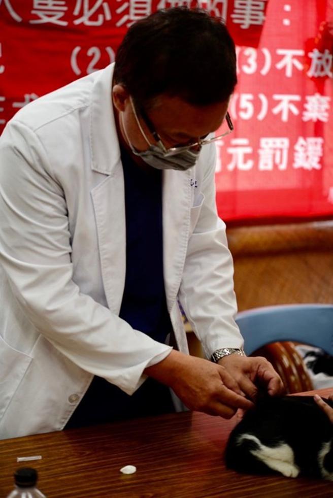 体验设计展宠物用品新感受  高市青年局办「毛孩秋日野餐趣」(品观点提供)