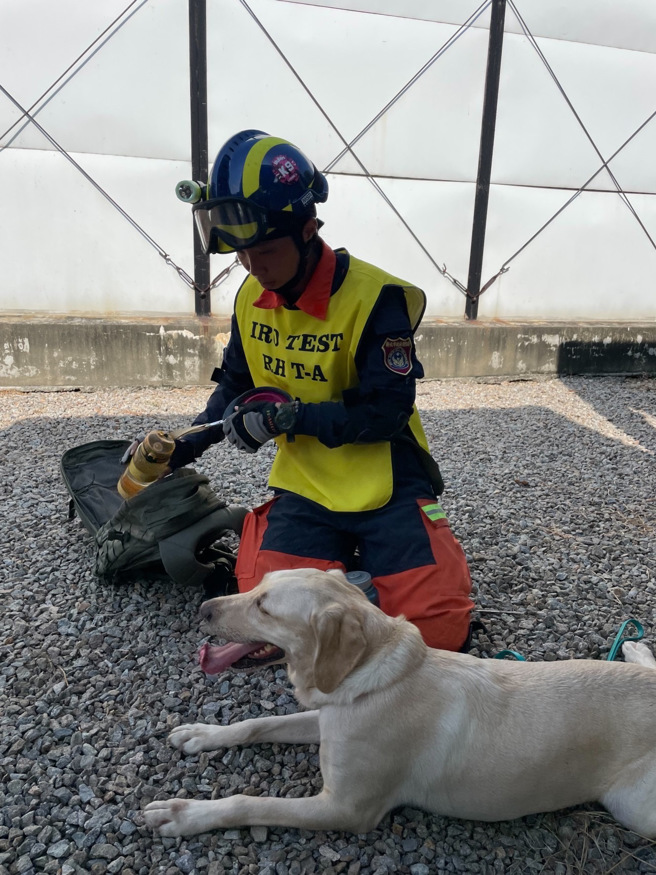 领犬员赖冠洁带领搜救犬木兰（Mulan）第一阶段成绩以272最高分技压群雄。(新北消防局提供)