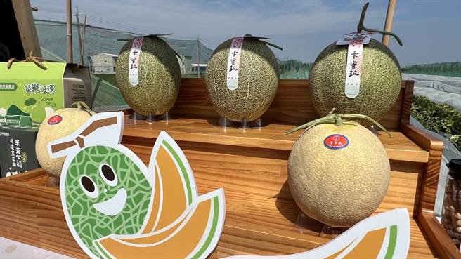 位于台南后壁的竹新社区，洋香瓜种植范围面积达400公顷。（张毓翎摄）