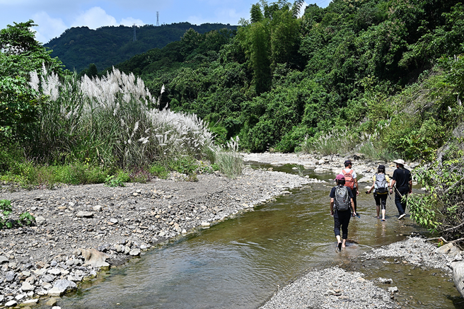 古道前半段沿著寬闊平坦的溪谷上溯，秋季水淺及踝。(攝影/Carter)