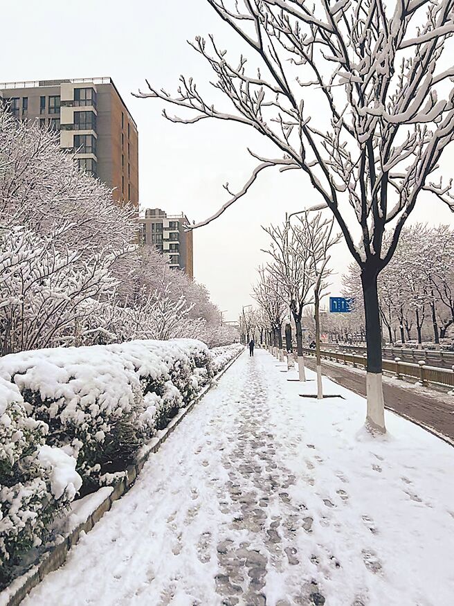 （圖／作者提供）