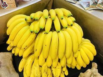 立委批收購香蕉「打壓特級品」穩價 農民血本無歸