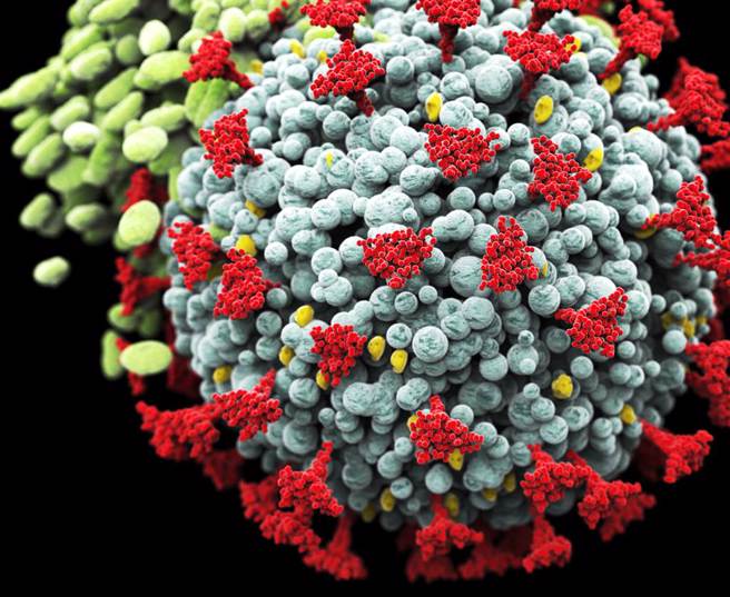 Omicron亞型變異株逾300種 世衛：全球公衛危機未了。(示意圖/達志影像)