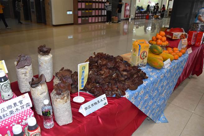 南庄山水節準備南庄本地當令的木耳、紅妃木瓜等優質農特產品讓遊客帶回家。（謝明俊攝）