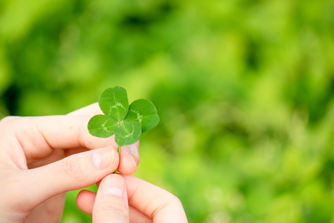 生肖蛇、生肖羊、生肖雞、生肖牛年底能遇到幸運之神的眷顧，不妨抓住機會充實生活，好事便會接二連三到來。（示意圖／Shutterstock）
