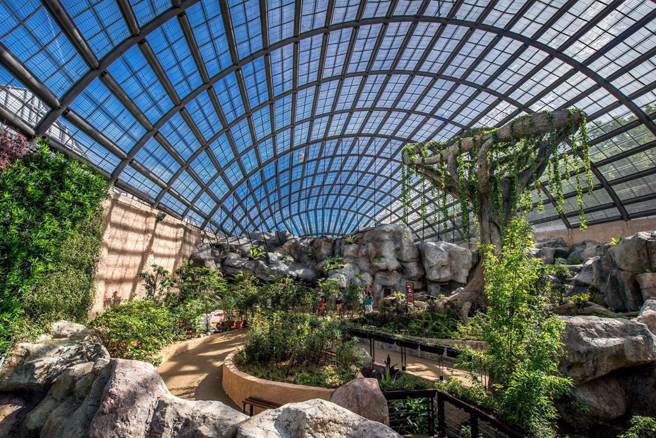 马来西亚槟城蝴蝶公园Entopia，同时也是世界第一座蝴蝶养殖场。（槟城旅游局提供）
