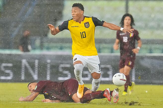 新锐边锋普拉塔是厄瓜多的攻击要角。（美联社）