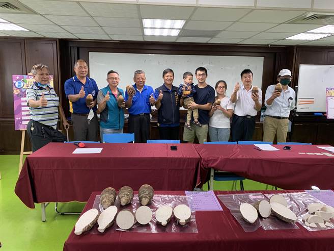 台中市优质芋头评鑑今天登场，今年共60组农友报名参赛。（台中市农业局提供／陈淑娥台中传真）