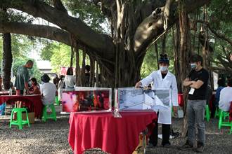 台南攝影節 年輕創作者「好菜上桌」邀民眾榕樹下享受視覺盛宴
