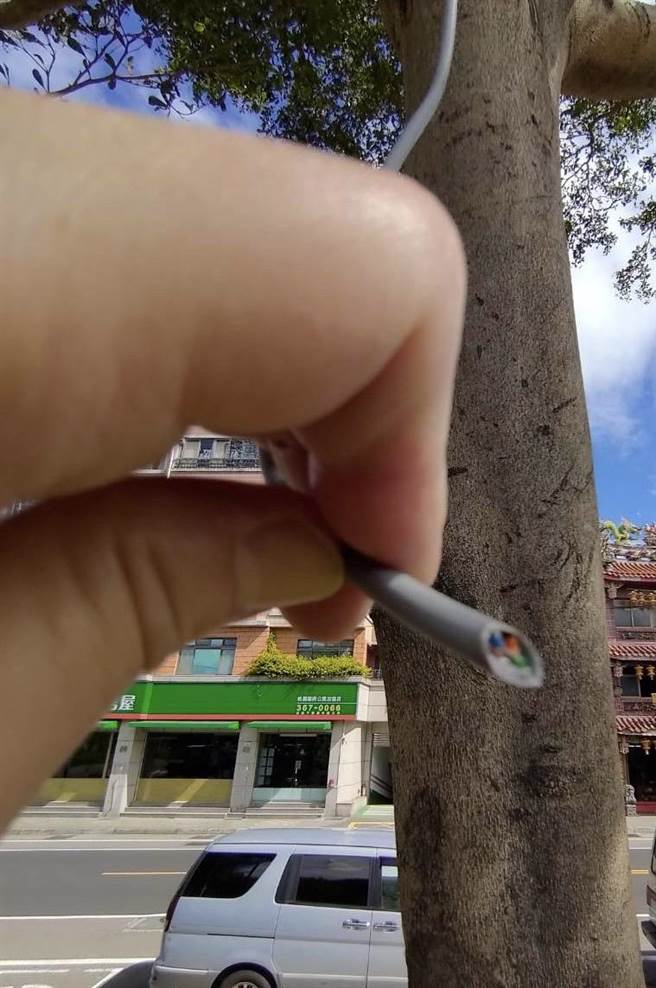 桃园市长候选人张善政北区总部成立暨造势大会，今天晚间六点半开始在桃园区阳明运动公园举行，不料转播用的光纤竟遭破坏。（读者提供）