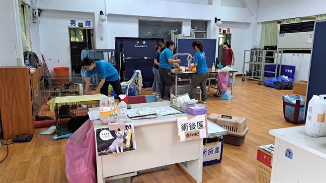 花莲县政府与台湾之心爱护动物协会合作，办理犬猫绝育作业。（花莲县政府提供）