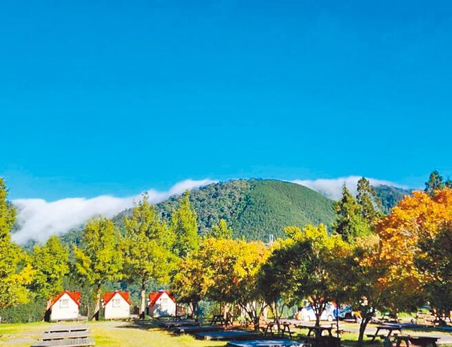 武陵农场露营区欧式景观小木屋坐拥无敌美景，是露营行家的热门首选。（武陵农场提供／陈淑娥台中传真）