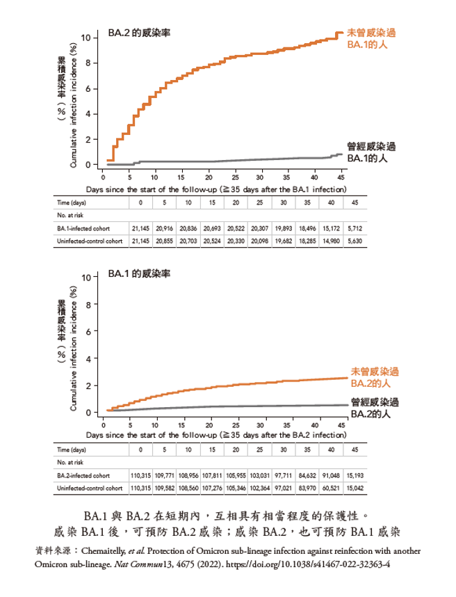 累积感染率。（图／商周提供）