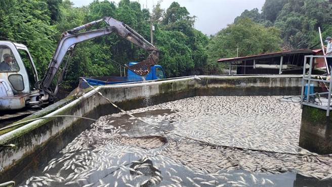 今宜蘭縣政府海洋所已前往該養殖場協助處理魚屍及相關救災工作。（宜蘭縣政府提供／吳佩蓉宜蘭傳真）