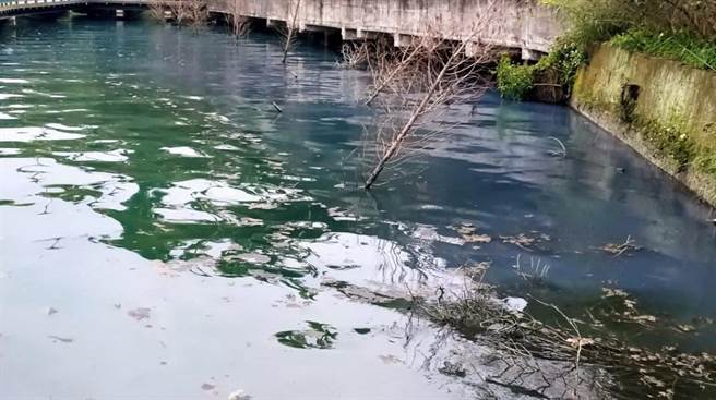 日月潭屡遭污染成「牛奶湖」，南投县政府「从严」订定放流水排放标准。（民眾提供／廖志晃南投传真）