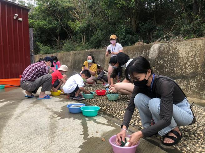 踏水巡田_游客拔完萝卜清洗(屏东海生馆提供) 