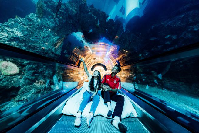 夜宿海生馆_海底隧道区(屏东海生馆提供) 