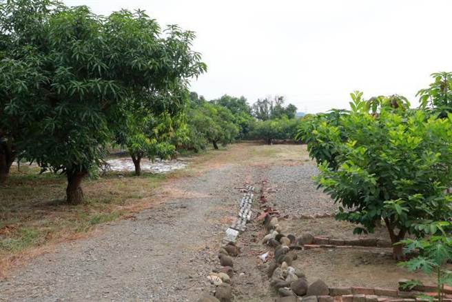 8M计画道路目前是閒置私有农作地，经在地议员协调下，多名地主愿意无偿提供土地。（台南市政府提供／张毓翎台南传真）