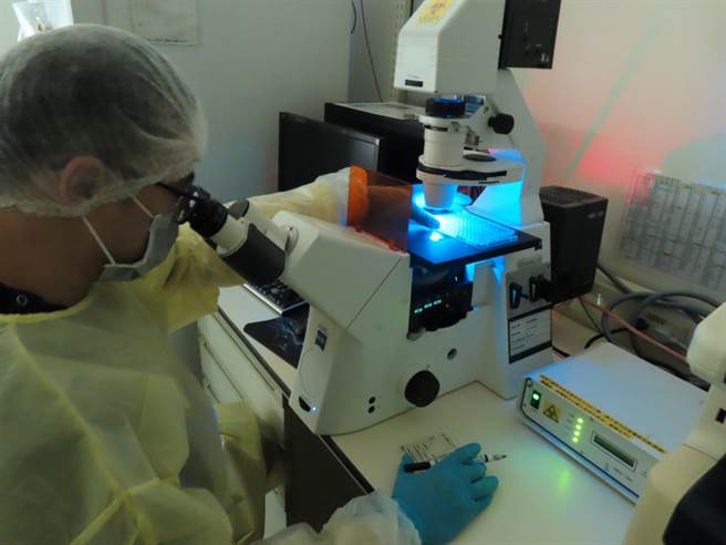 畜卫所人员进行狂犬病抗体检测工作。（畜卫所提供）