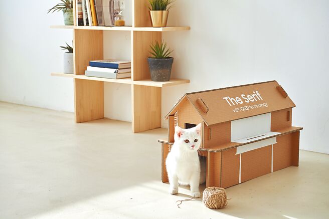 三星倡导将纸箱再利用，包装产品用的环保纸箱还可DIY成收纳箱，甚至还能成为毛小孩的家，让纸箱并非一次性使用产品。（三星提供）