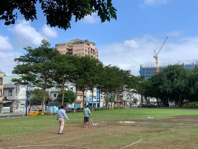 國民黨桃園市長候選人張善政日前在陽明運動公園造勢，張善政陣營今天前往灑水。（張善政競辦提供）