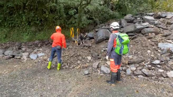 今宜兰县消防局派遣2组消防人员共12人、新北市消防局消防人员2人、搜救犬2只一起投入搜索。（宜兰县政府消防局提供／吴佩蓉宜兰传真）