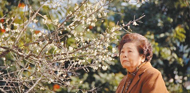 62年后，王琼玲为823烈士遗孀吕妈妈找到了那棵梅树。吕妈妈在梅树下痛哭。（王琼玲提供）