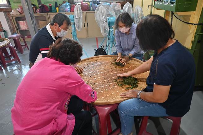 民眾体验揉茶。（李京升摄）
