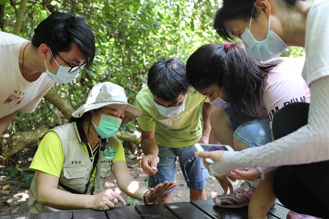 桃市府海管处辅导海岸生态解说员在牵罟步道为民眾讲解海滨植物及生态。（海管处提供／蔡明亘桃园传真）