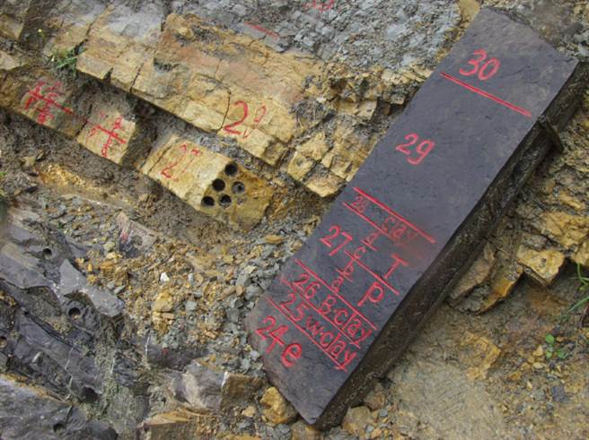 大陆7个遗产地入选首批国际地质遗产地名录。图为浙江长兴「金钉子」地质剖面。（IUGS官方平台）