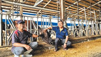 林鳳營堅持高品質 助酪農科技轉型