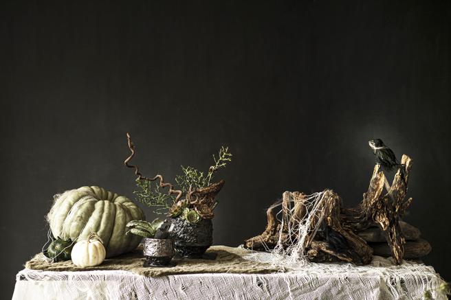 有肉万圣节桌面布置提案。（有肉 SUCCULAND提供）