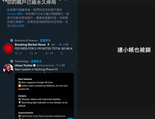 皮皮的社群帐号不断遭到检举。（图／IG@皮皮）